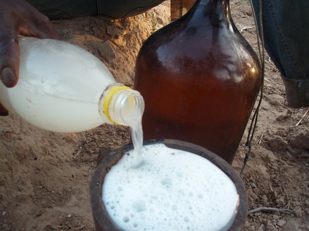 Danger de la Boisson pour Senegalais